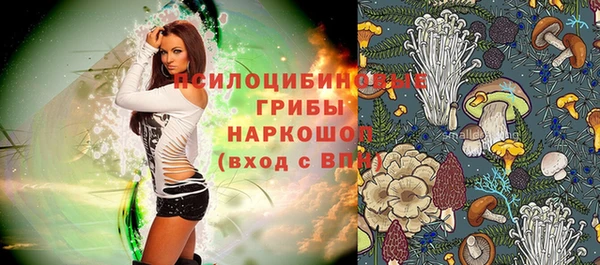 прущие крисы Новозыбков
