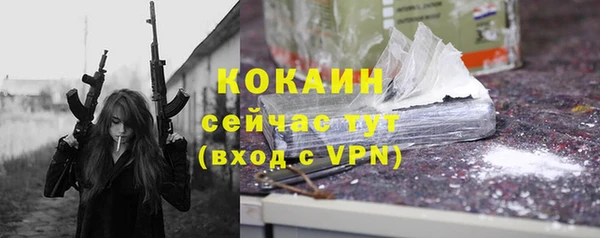ГАЛЛЮЦИНОГЕННЫЕ ГРИБЫ Бикин