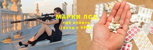 прущие крисы Новозыбков