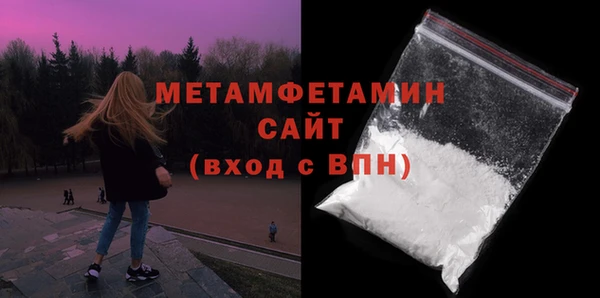 гидра Няндома