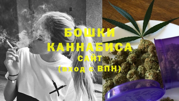 гидра Няндома