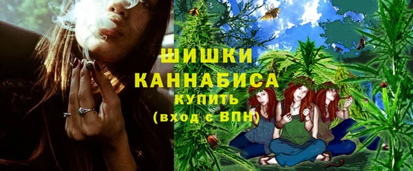 ГАЛЛЮЦИНОГЕННЫЕ ГРИБЫ Бикин