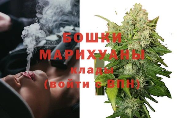 ГАЛЛЮЦИНОГЕННЫЕ ГРИБЫ Бикин