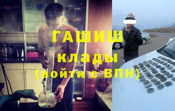 гидра Няндома