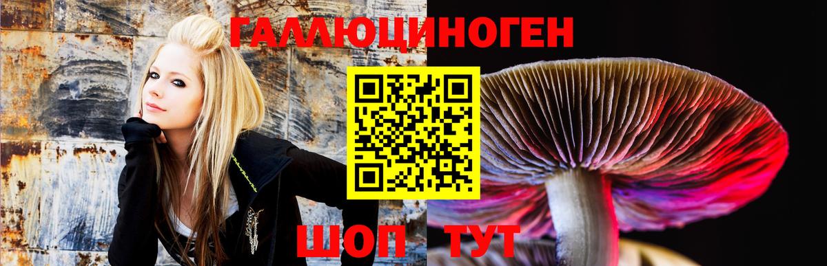 Галлюциногенные грибы GOLDEN TEACHER  Вход с VPN  Красноармейск 