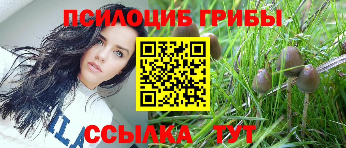 Псилоцибиновые грибы ЛСД Красноармейск